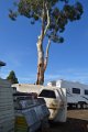 new-awning-nabiac 029
